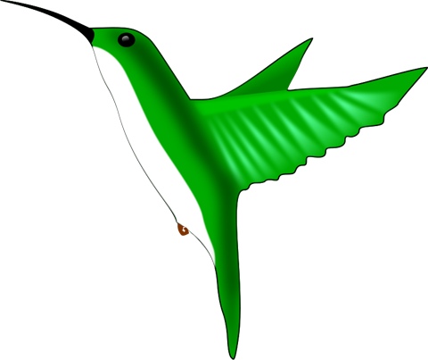 green_hummingbird.jpg