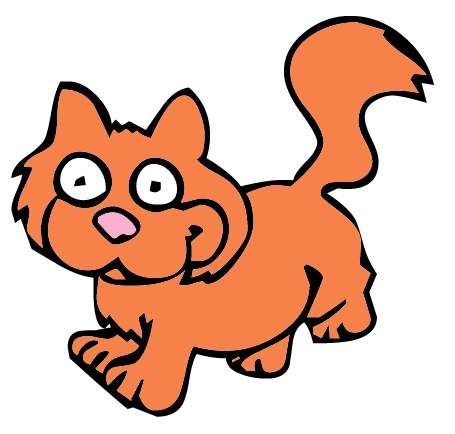orange_cat.jpg