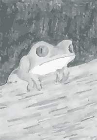 frog.jpg 7.3K