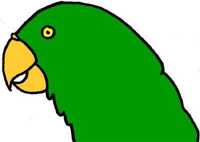 parrot.jpg 8.6K