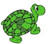 green_turtle.jpg