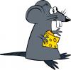 rat_with_cheese.jpg