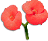clipart-flowers16.gif 3.0K