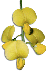 clipart-flowers22.gif 2.6K