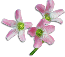 clipart-flowers26.gif 2.7K
