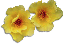 clipart-flowers38.gif 2.6K