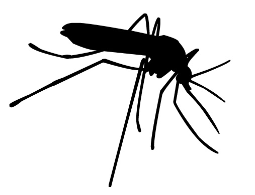 free cartoon mosquito clipart - photo #30