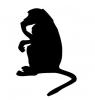 sitting_monkey.jpg