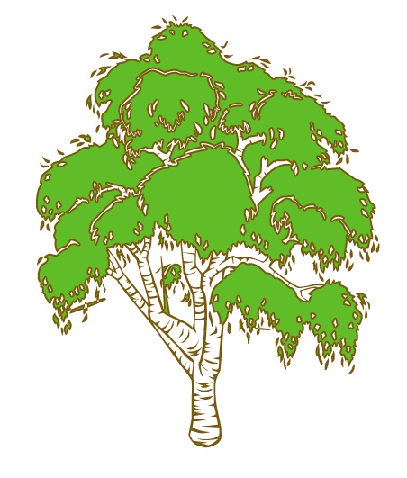 green_tree.jpg
