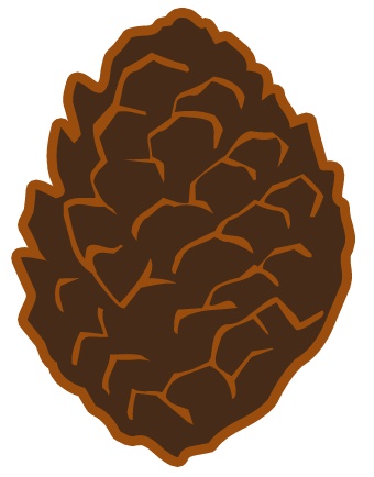 pinecone.jpg