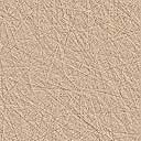 beige2.jpg