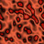 64_001.jpg
