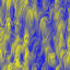 64_013.jpg