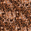 64_014.jpg