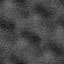 64_017.jpg