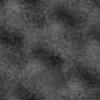 64_017.jpg