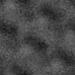 64_017tn_.jpg 1.6K