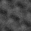 64_017tn_.jpg
