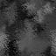 64_019.jpg