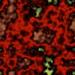 64_024tn_.jpg 2.4K