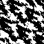 64_025.jpg
