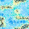 64_041.jpg