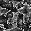 64_043.jpg