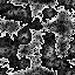 64_043tn_.jpg 3.5K