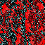 64_049.jpg