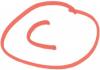 ccircled.jpg 7.2K
