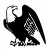 american_eagle.jpg