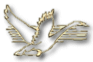 bird-clipart47.gif 6.4K