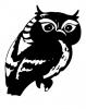 bw_owl.jpg