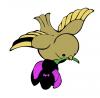 carrying_flower.jpg