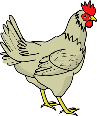 chicken.jpg