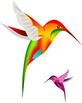 colibri_birds.jpg