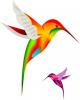 colibri_birds.jpg