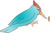 color_woodpecker.jpg
