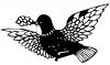dove_bw.jpg