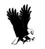eagle.jpg