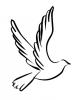 flying_dove.jpg