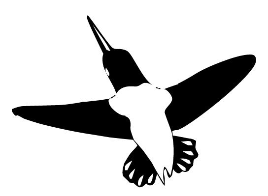 hummingbird.jpg