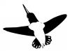 hummingbird.jpg
