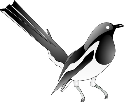 magpie_robin.jpg