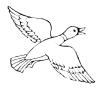 outline_duck.jpg