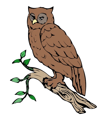 owl_branch.jpg