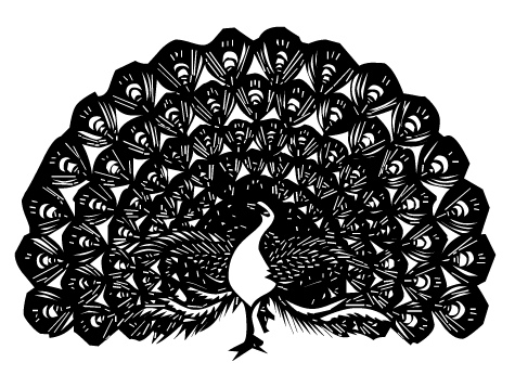 peacock.jpg