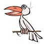 pelican.jpg