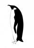 penguin.jpg