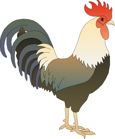 rooster_color.jpg